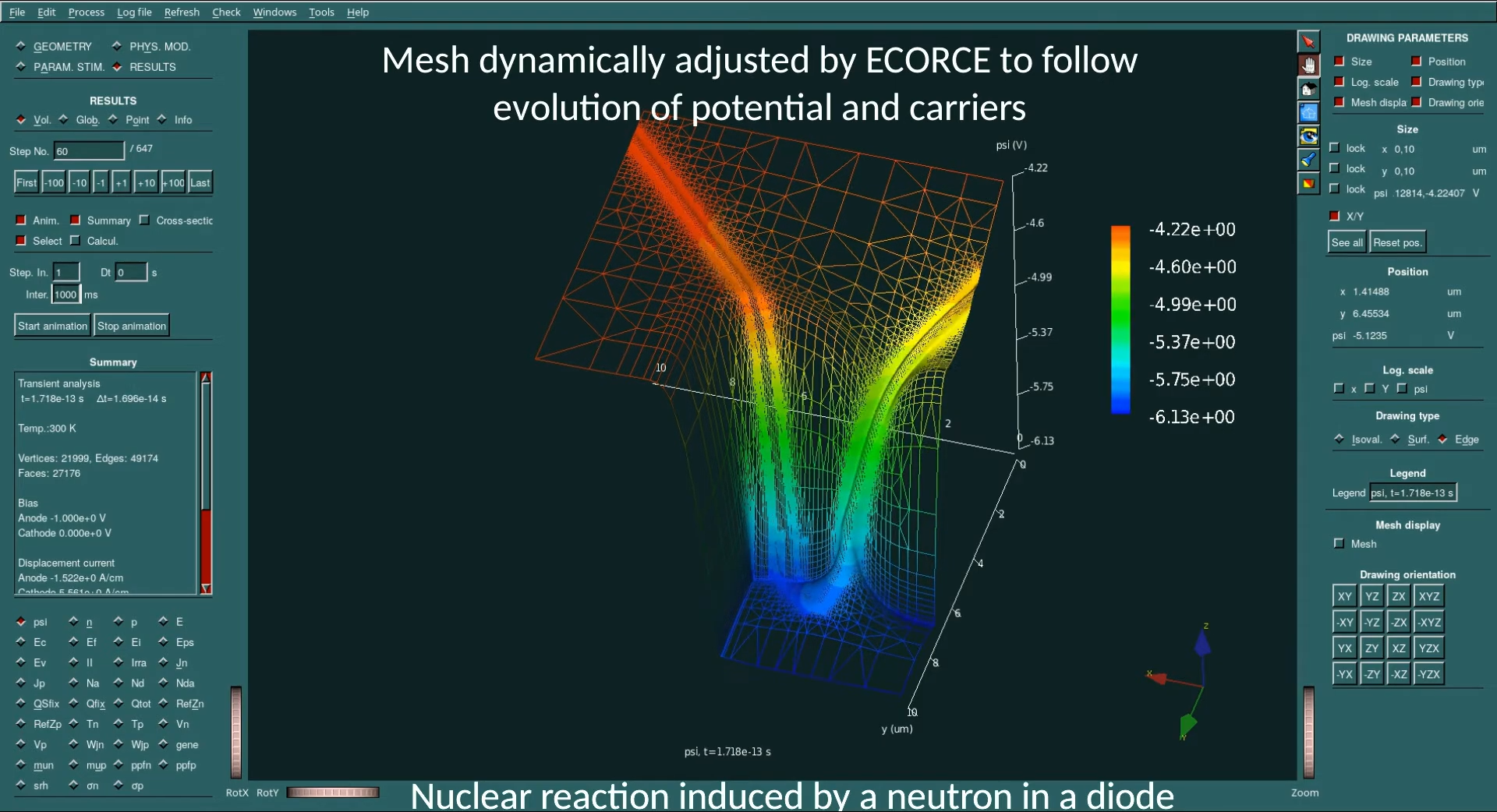 ecorce